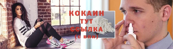 трава Аркадак