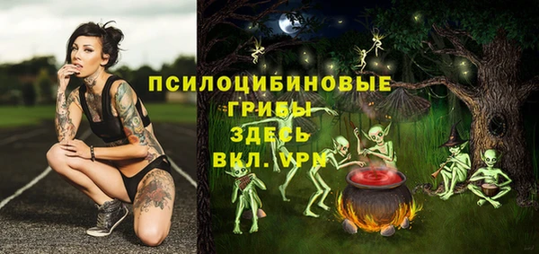 трава Аркадак