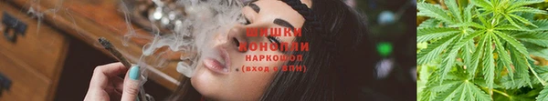 трава Аркадак