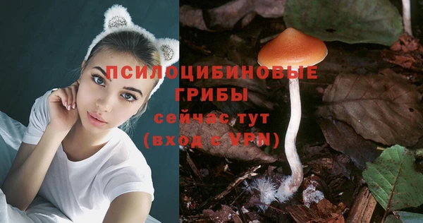 ПСИЛОЦИБИНОВЫЕ ГРИБЫ Армянск